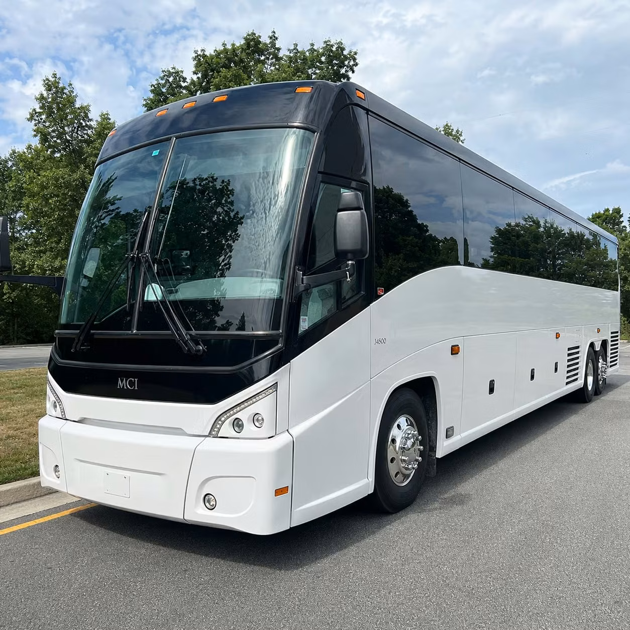 charter buses to the kentucky horse park for unforgettable lexington field trips